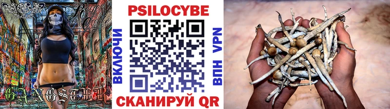 Галлюциногенные грибы Psilocybine cubensis Купить где Шадринск